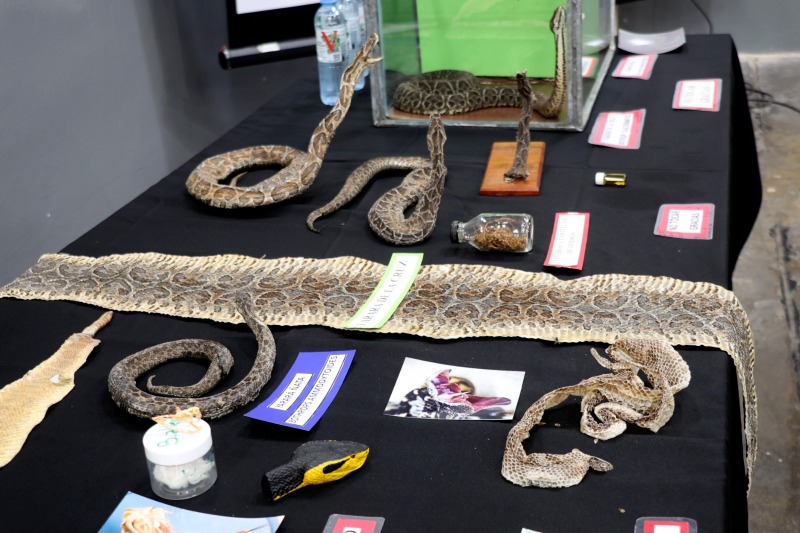 Capacitaci�n sobre reptiles y animales venenosos